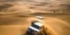 Dubai: Morning Desert Adventure – Experience the Magic of the Desert!